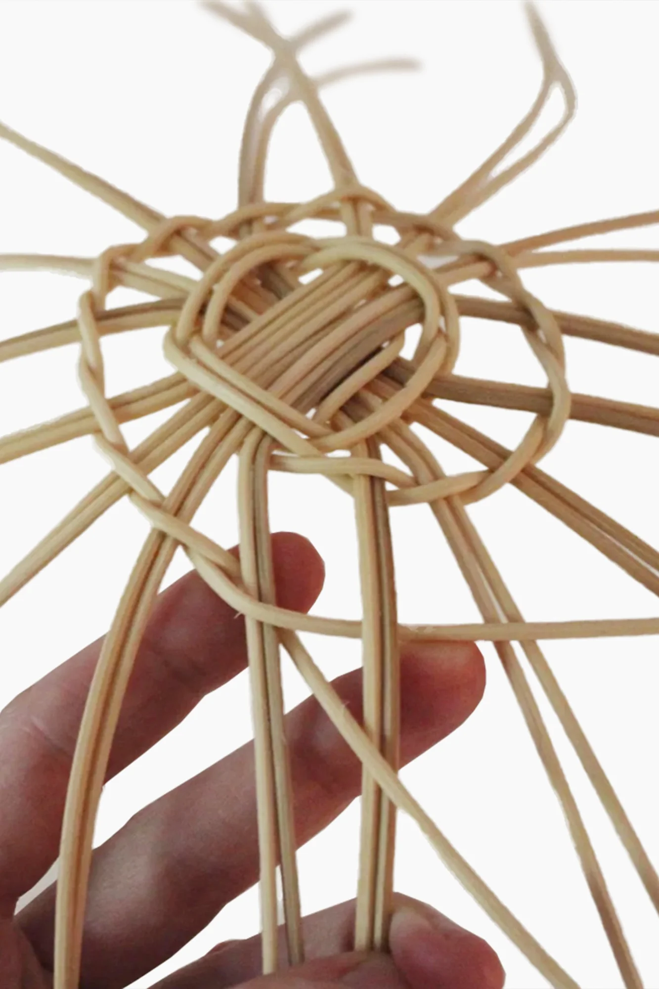 Beginner Basket Making Kit | The Sweet Onion - Image 3