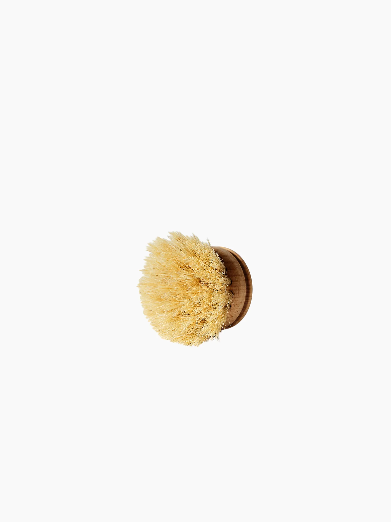 Everyday Dishbrush Refill