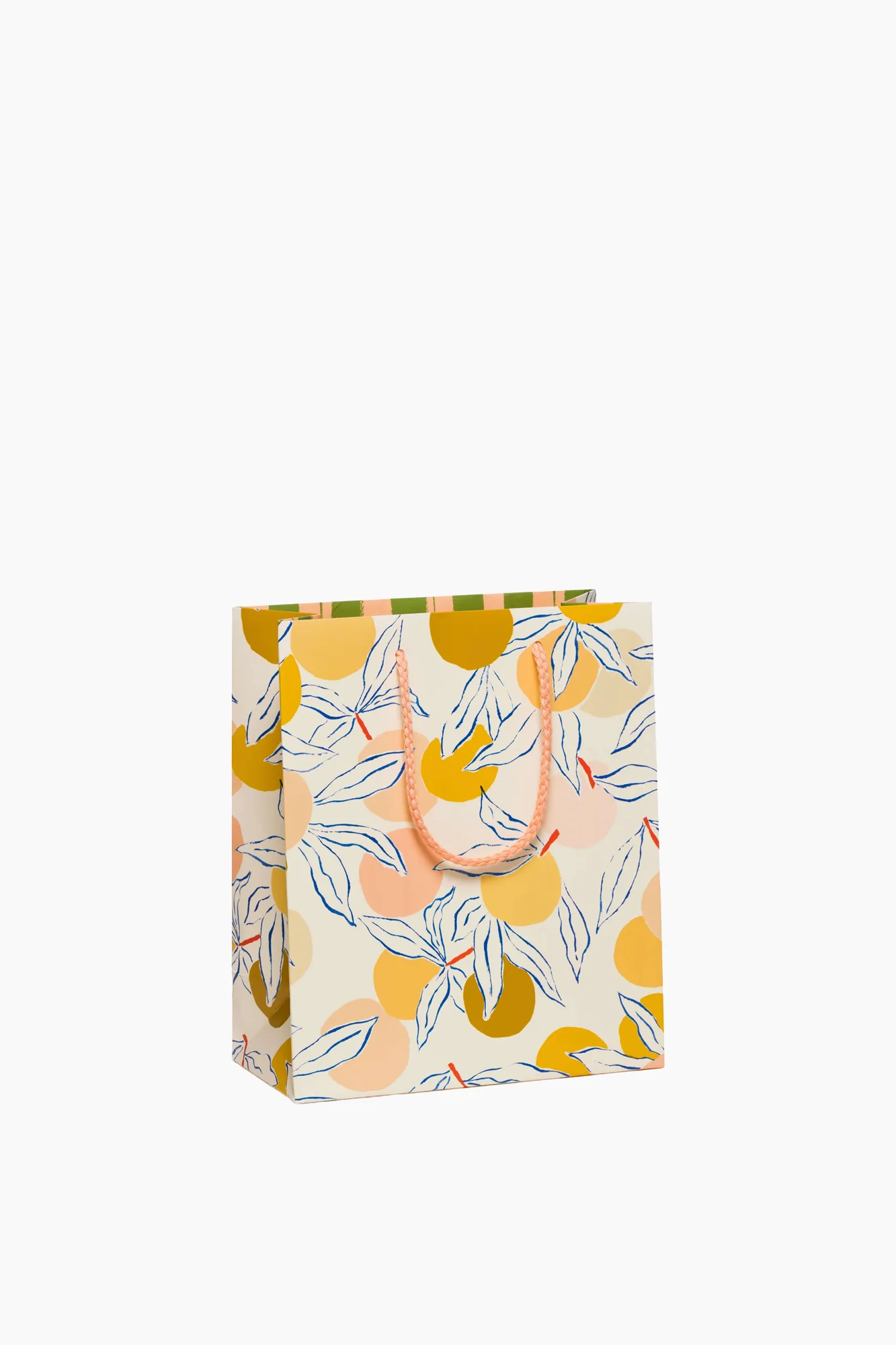 Gift Bags | Medium - Image 25