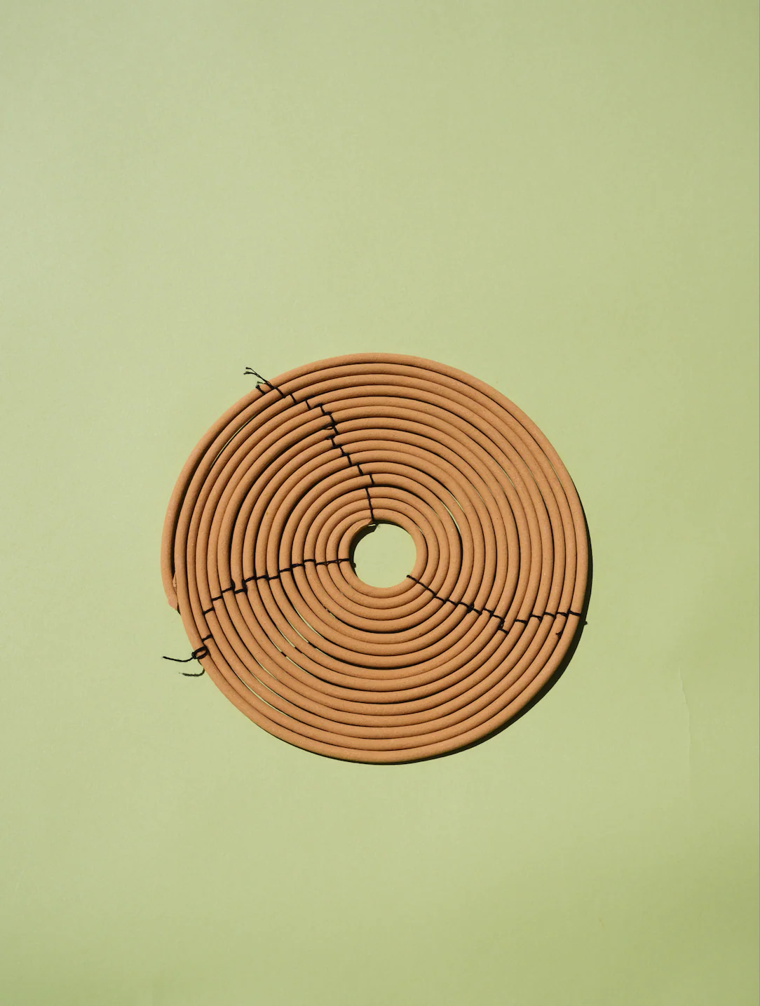 Citronella Coil | Small - Image 3
